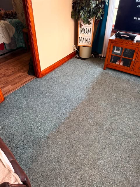Living room carpet showing a sharp clean line between finished and unfinished sections