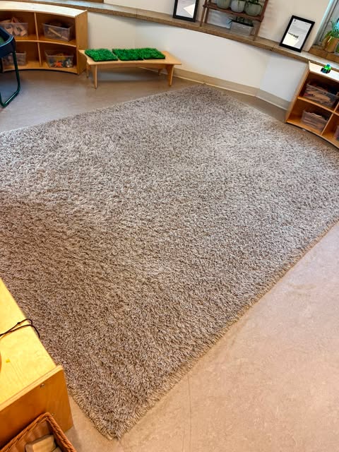 Area rug, high-traffic room